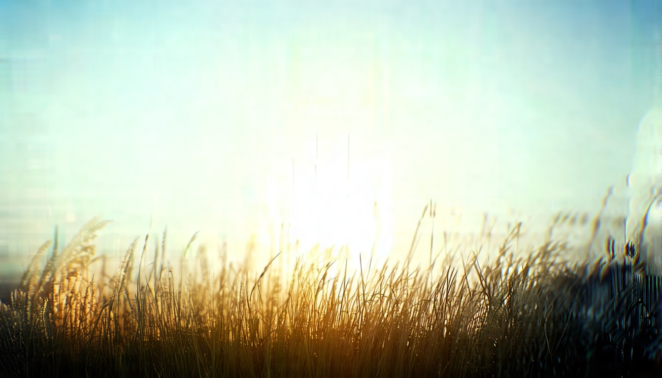 Uetlidorf Rechnungswesen Campus